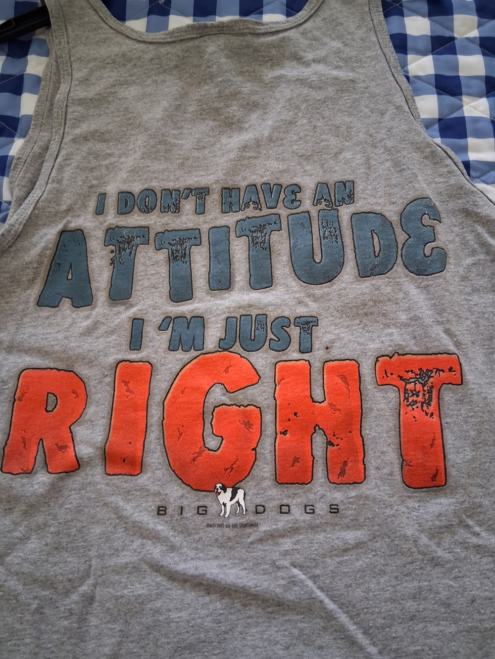 Big Dogs Gray Tank Top with Blue and Orange Graphic